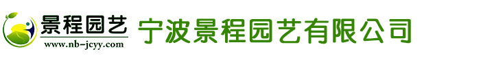 廣東好翼未來(lái)科技有限公司